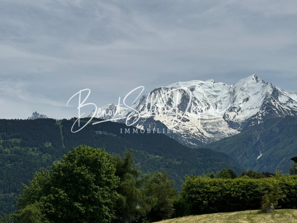 Vue sur le Mont-Blanc et les Aiguilles depuis un terrain à bâtir dans les Alpes
